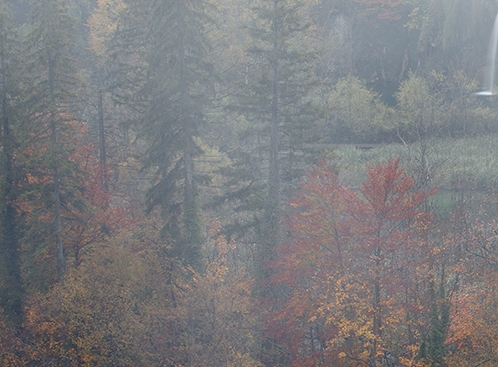 泰国七象珠的寓意是什么