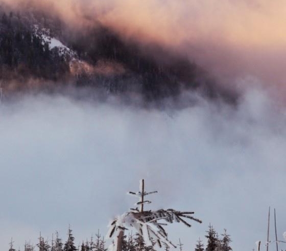 粉象生活怎么赚钱的