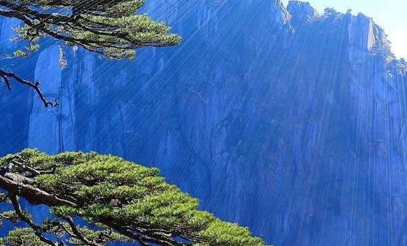 粉象生活合法吗