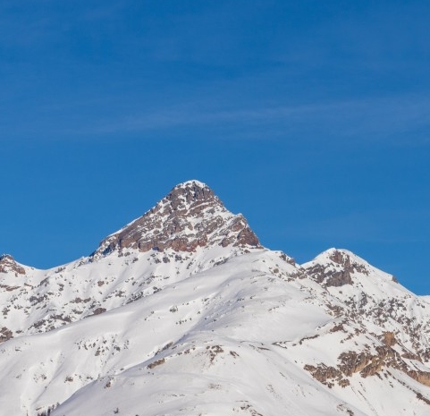 粉象生活怎么赚钱