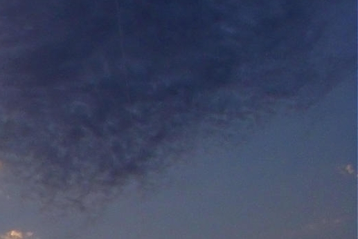 粉象生活怎么赚钱