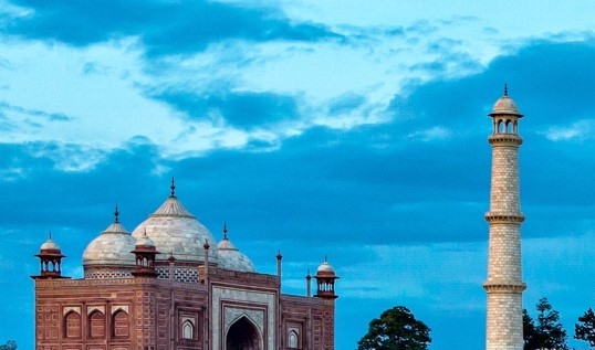 广东口碑粉象生活app