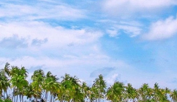 粉象生活合法吗