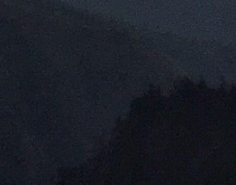 粉象生活伦总管