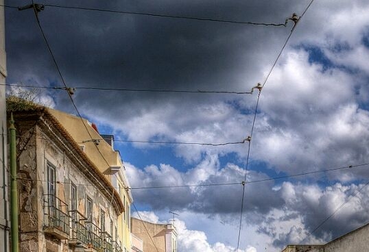 安庆粉象生活代理