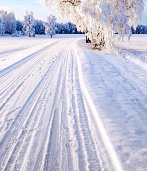 马云如何看待粉象