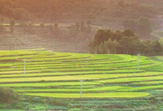 微博如何推广涨粉