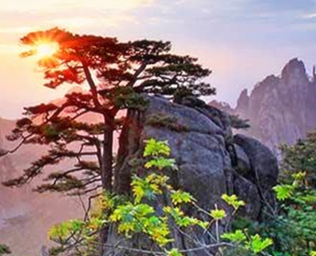 粉象生活自媒体挣钱吗