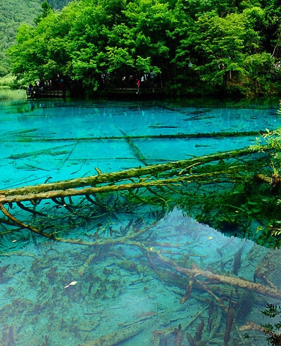 粉象生活推广视频