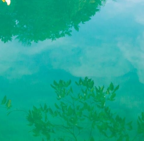 粉象生活能赚到50多万吗