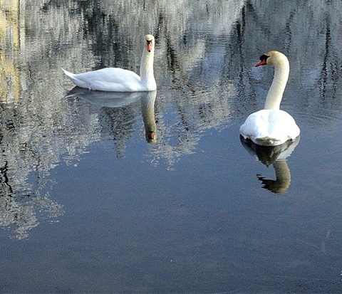 粉象生活拆红包是真的吗