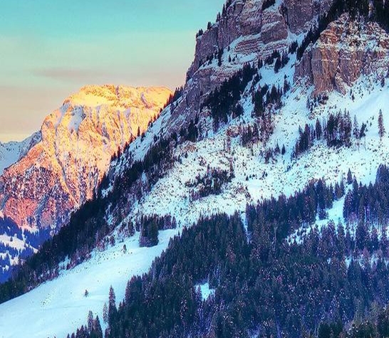 粉象生活怎么赚钱提现