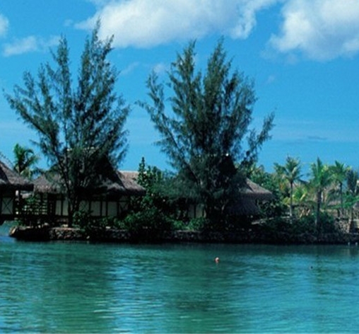 粉象生活粉丝怎么增加