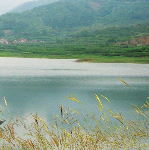 粉象生活怎么赚钱的