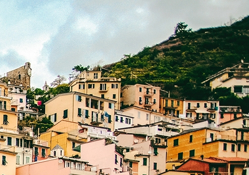 粉象生活邀请码