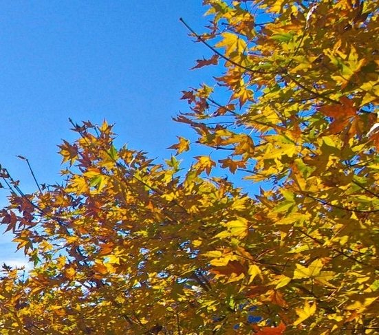 粉象怎么更改邀请人