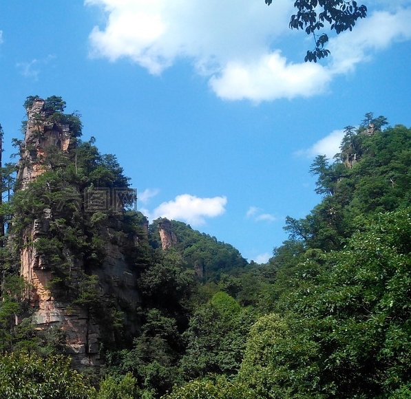 粉象生活是干什么的?怎么赚钱