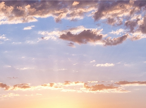 粉象生活如何能月入过万