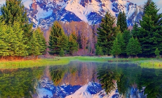 粉象生活怎样多个商品下单