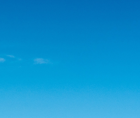 粉象生活怎么用