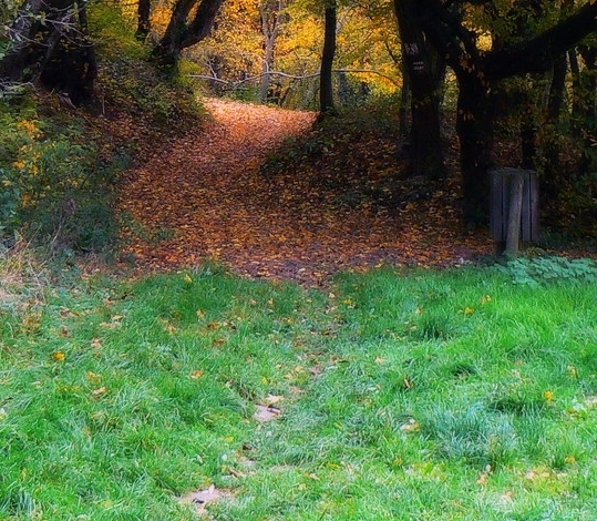 粉象生活是干嘛的
