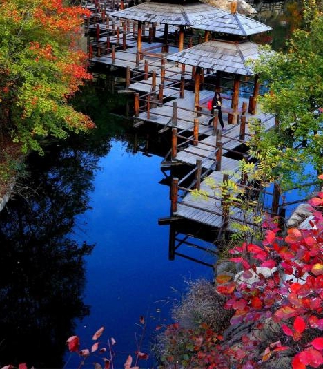 粉象生活每月多少流量