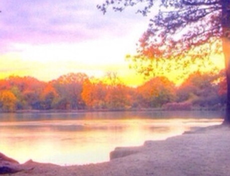 粉象生活真能赚到钱吗