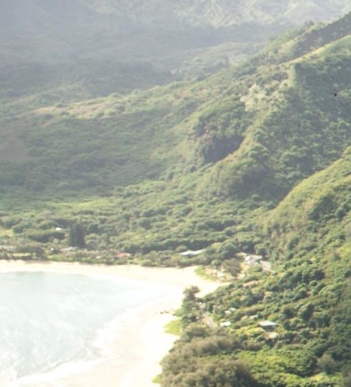 粉象生活中奖技巧