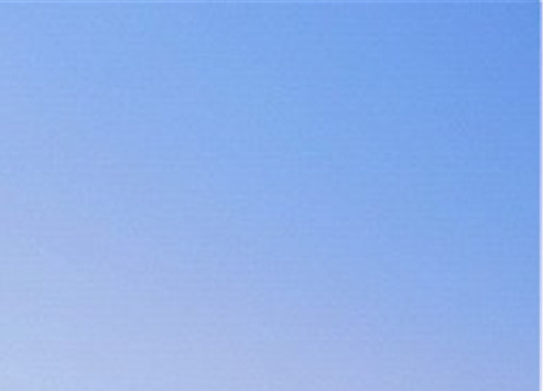 粉象生活什么时候开始推广的