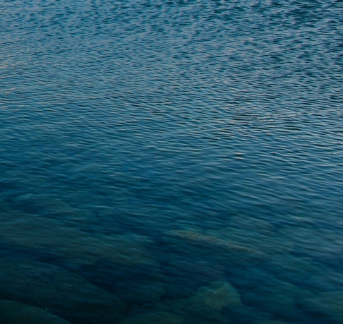 为什么要用粉象生活