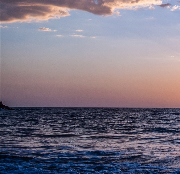 粉象生活下载app