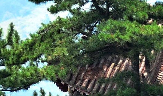 粉象生活借钱