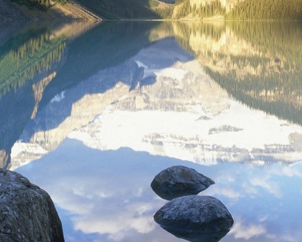 粉象生活发圈了有佣金嘛