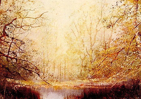 粉象生活会员怎么升级