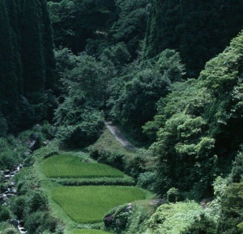 好省跟粉象生活哪个好