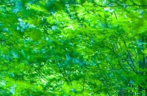 粉象生活是正规软件吗