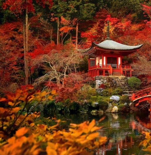 粉象生活合法吗