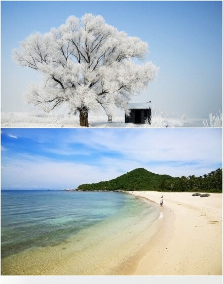 粉象生活怎么赚钱