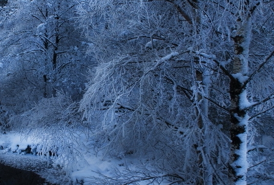 粉象生活和更省哪个好