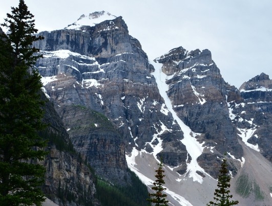 杭州粉象生活实例
