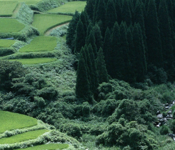 怎么操作粉象生活