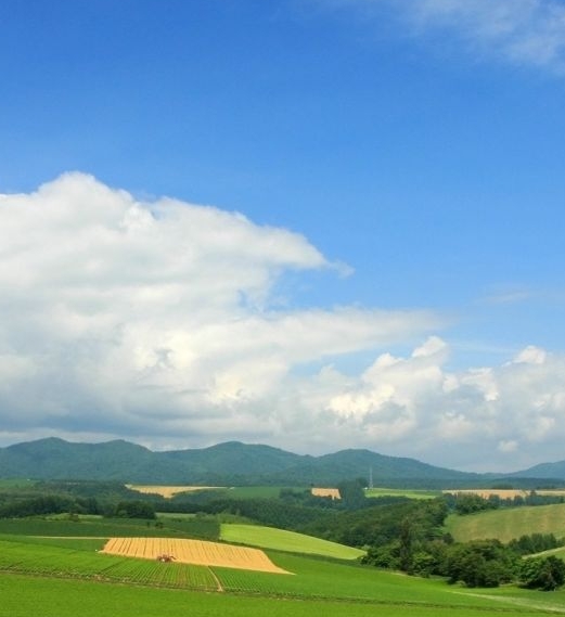 粉象生活签到红包