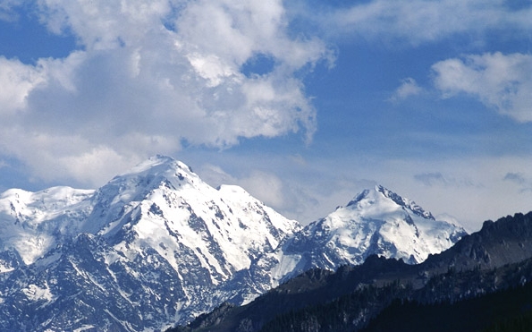 粉象生活怎么推广引流加粉丝