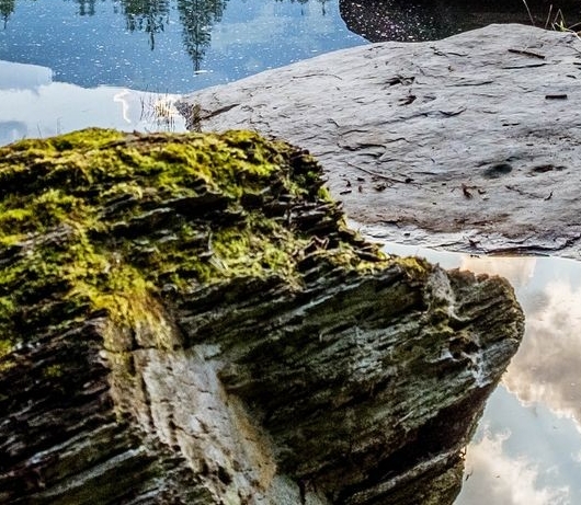 粉象生活可以赚钱吗