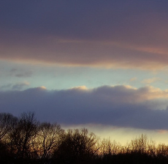 粉象生活赚钱教程