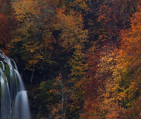 粉象生活值不值得拥有