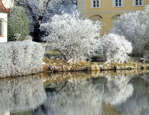 粉象生活有用吗