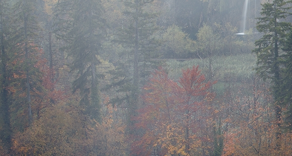 粉象生活是什么?