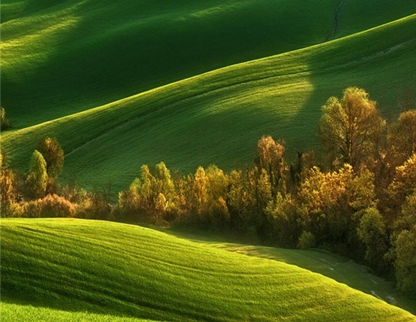 粉象生活能赚钱吗