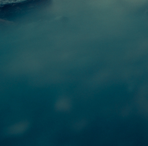 粉象生活推广文章